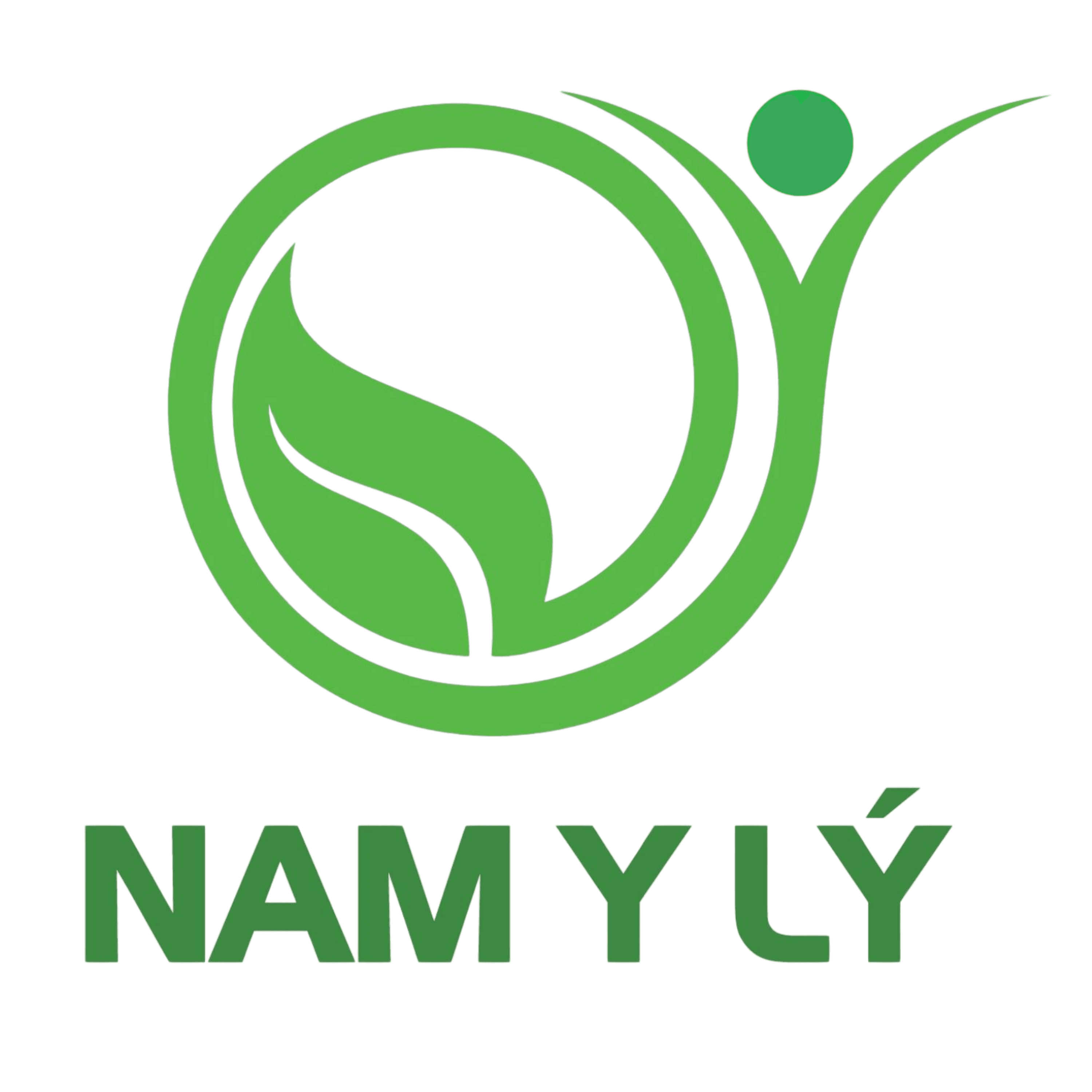Y học cổ truyền Nam Y Lý